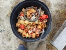 Bucket of Rebar Caps