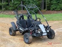 HAMMERHEAD MUDHEAD 208R GO-CART