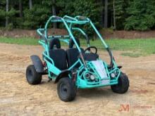 HAMMERHEAD MUDHEAD 208R GO-CART