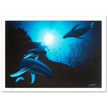 Wyland "Whale Vision" Limited Edition Giclee On Canvas