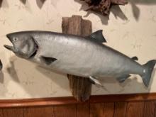Mounted Salmon- 40''W x 2 Ft T. NO SHIPPING AVAILABLE ON THIS ITEM!