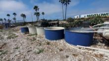 Approx. 9 extremely large Red Ewald Inc. fiberglass tubs with oyster shells inside