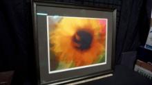Autographed & Framed Kirby Schultz Flower Picture