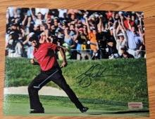 Tiger Woods autographed 8x10 photo with coa