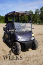 RXV GOLF CART