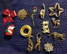 13- brooches