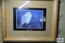 Snowy Owl print by Debbie DuBois