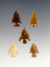 Set of 5 assorted arrowheads found in South Dakota, largest is 3/4".