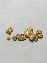 Gold Nuggets Alaskan Yellow Top End .203 Grams Chunky Lot 20 Kt+