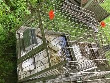 Stainless Steel Small Stock Cage