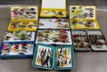 7 Fly Caddies with Dry Flies for Fly Fishing